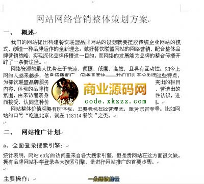網站網絡營銷整體策劃方案.rar