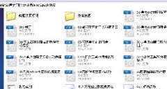 FVIPTTAOBAOͽ̡̳2010F꠾Ʒ̳0