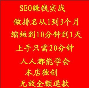 seo排名最快方法3個(gè)月變1天視頻教程