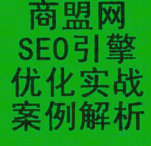 ˾W(wng)-SEO(sh)(zhn)(g)ͨ^SEOfԪİ)0