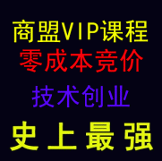 2013VIPn̡ɱrg(sh)(chung)I(y)οװ0