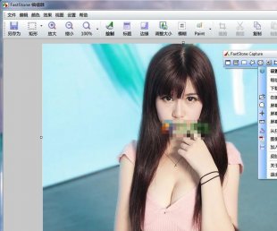 Faststone Capture v7.6LӽWȡɫȫɽ؈D0