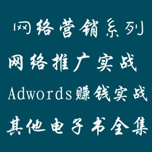 ͨȫ seo̳ W(wng)j(lu)I(yng)N(sh)(zhn) google adwordsP(gun)ϵеȺϼ0
