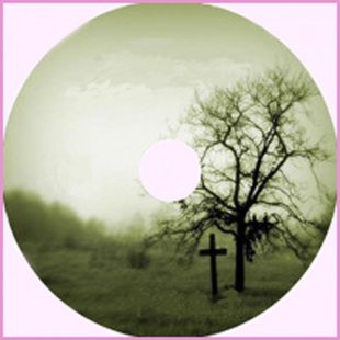 辰Nֲ༼gȫ/DVD/VCD/辰ҕlP̳̲̽0