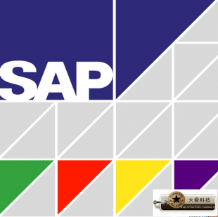 SAP FICO/BW/MM/SD/HR/ABAP°PA̲ģģKӖ̳̣1