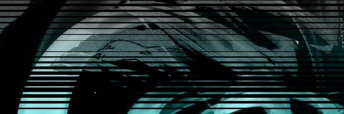 flash(dng)ΑЧЧزˮFЧԴļģ