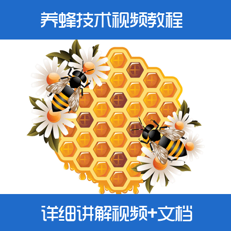 ۷Bֳgҕl̳/зBֳ/B似gȫҕl̲/B1