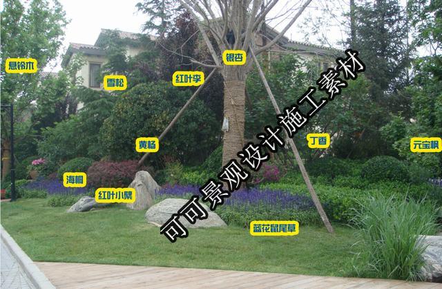 2015 ֲý ^@ַNֲҎOӋزYόƬ