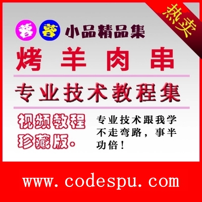 正宗新疆烤羊肉串/碳烤食品調料配方特色小吃/羊肉串燒烤技術資料
