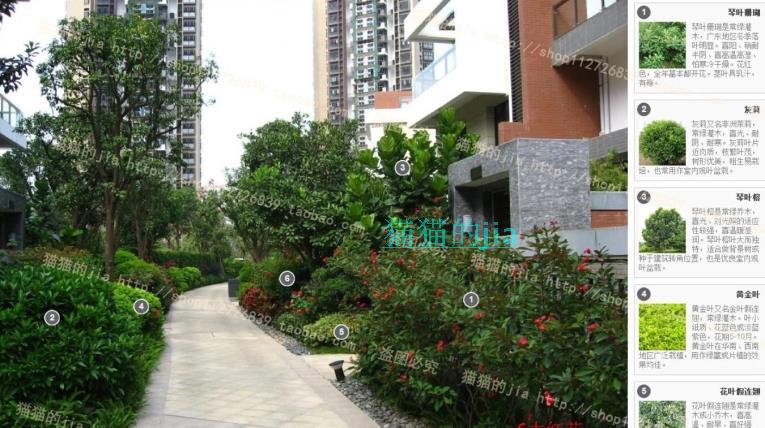 精選150張植物配置分析實景參考圖 園林景觀植物解析設(shè)計素材