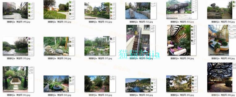 精選150張植物配置分析實景參考圖 園林景觀植物解析設(shè)計素材
