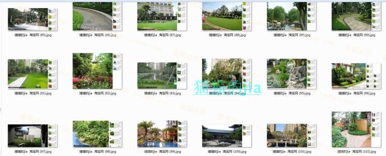 精選150張植物配置分析實景參考圖 園林景觀植物解析設(shè)計素材