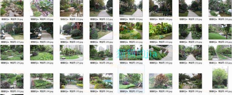 精選150張植物配置分析實景參考圖 園林景觀植物解析設(shè)計素材