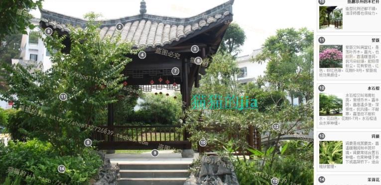 精選150張植物配置分析實景參考圖 園林景觀植物解析設(shè)計素材