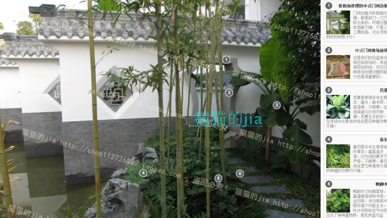 精選150張植物配置分析實景參考圖 園林景觀植物解析設(shè)計素材
