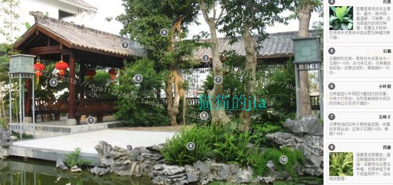 精選150張植物配置分析實景參考圖 園林景觀植物解析設(shè)計素材