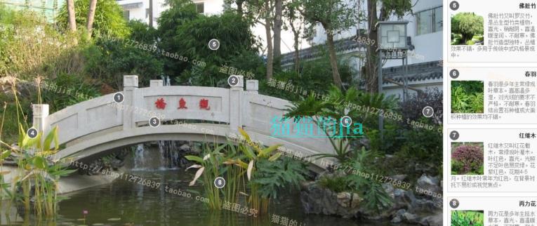 精選150張植物配置分析實景參考圖 園林景觀植物解析設(shè)計素材