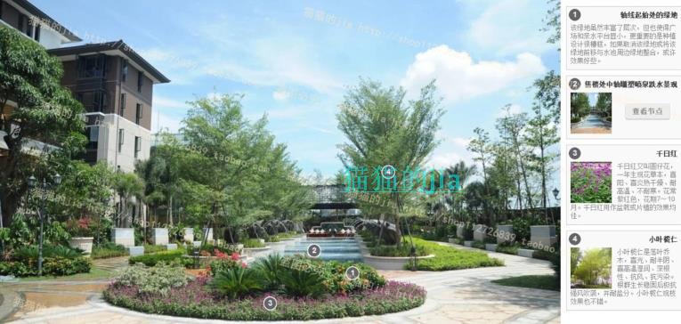 精選150張植物配置分析實景參考圖 園林景觀植物解析設(shè)計素材