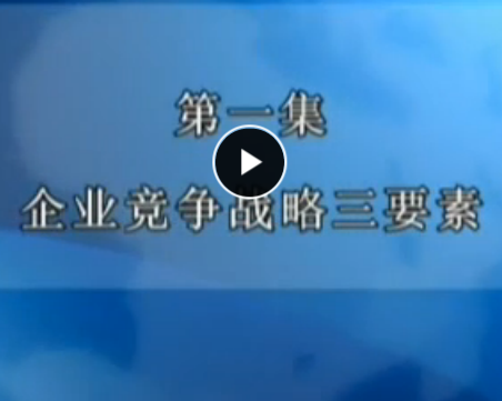 企業(yè)動(dòng)態(tài)競爭戰(zhàn)略 藍(lán)海林
