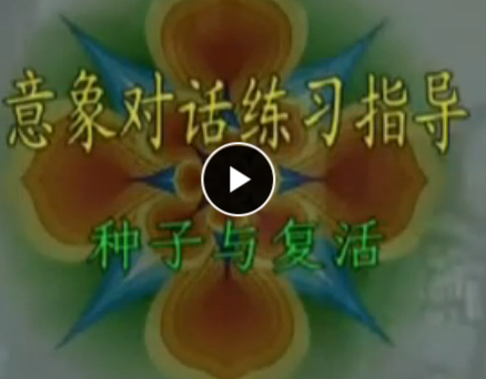 意向?qū)υ捈夹g(shù)培訓(xùn) 朱建軍