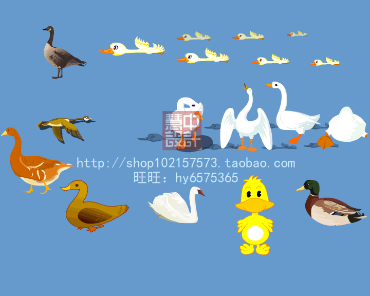 FLASH卡通動物動態鳥雞鴨馬鴿子蝴蝶蜻蜓蜘蛛蜜蜂天鵝矢量素材A3