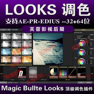 MV{ɫЧAE PR EDIUS 6 7 {ɫLooks MOJOĥƤwAO̳0