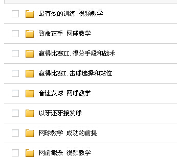 網球教程 輕松學打網球 體育網球學習 網球教學視頻教程 15G教程