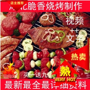 湖北脆香燒烤制作 配方+7DVD視頻教程 風(fēng)味小吃 燒烤小吃制作技術(shù)