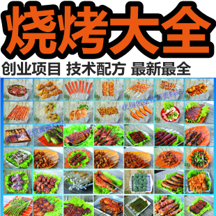 特色燒烤 腌制獨家秘方 創業資料 小吃配方技術大全 烤牛羊豬魚肉