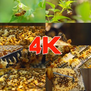 匍4K۷w__˲ɼ_䳲ҕlز1