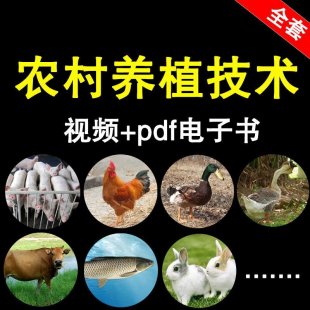 2016rBֳuţügҕl̳ȫ r񄓘IٍXĿ0