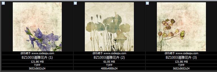 Ż bزĈDƬ 宋оD