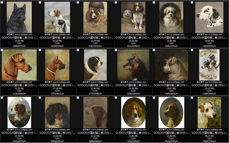  GODOGȮ}ͮ DƬbо OӋ̌WRġزĈD