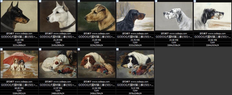  GODOGȮ}ͮ DƬbо OӋ̌WRġزĈD