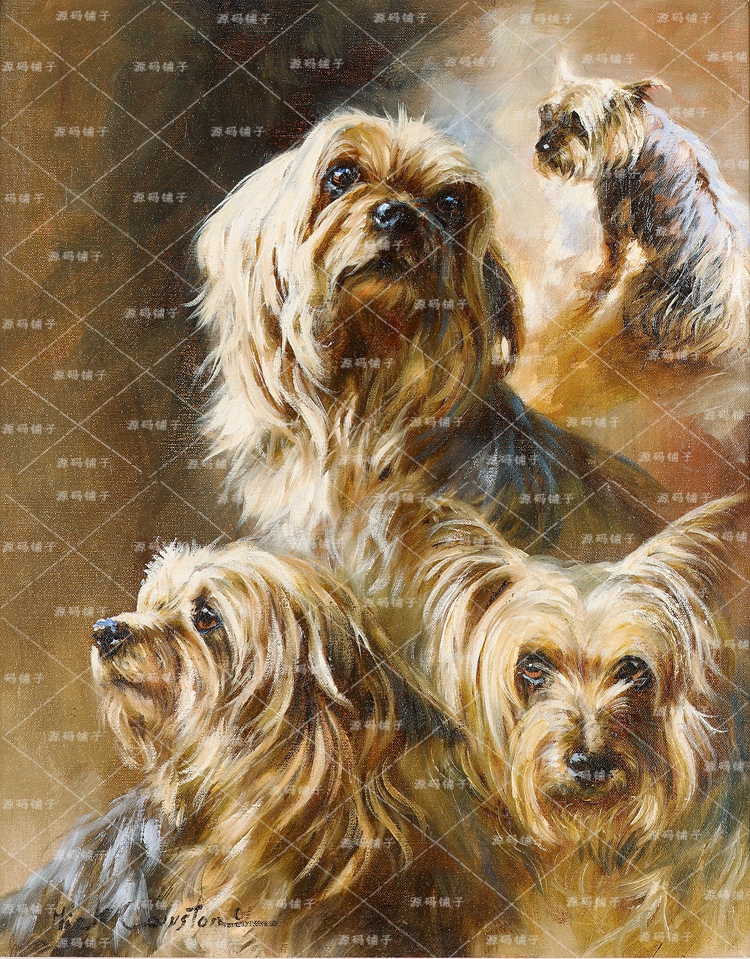  GODOGȮ}ͮ DƬbо OӋ̌WRġزĈD