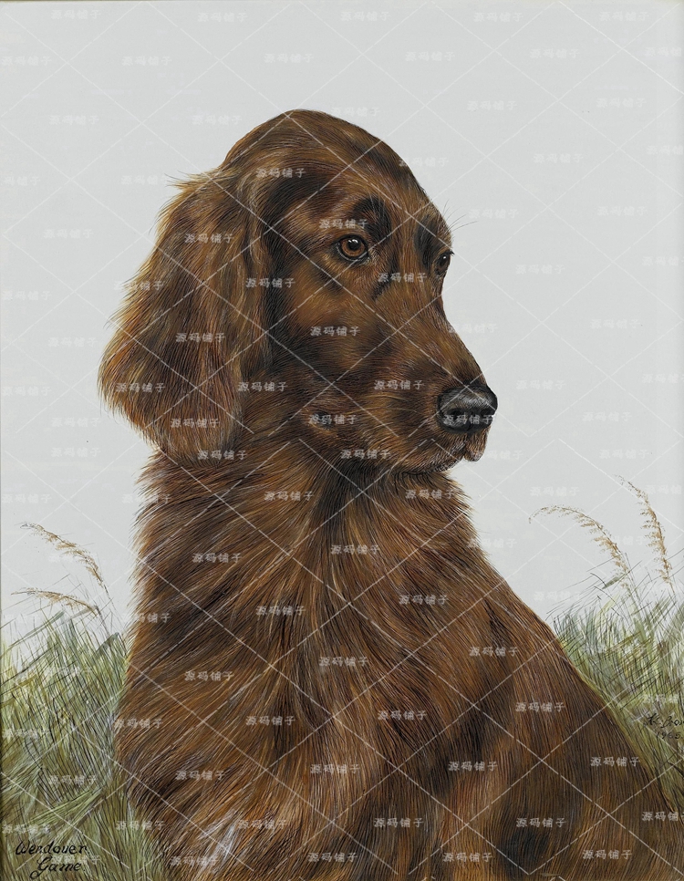  GODOGȮ}ͮ DƬbо OӋ̌WRġزĈD