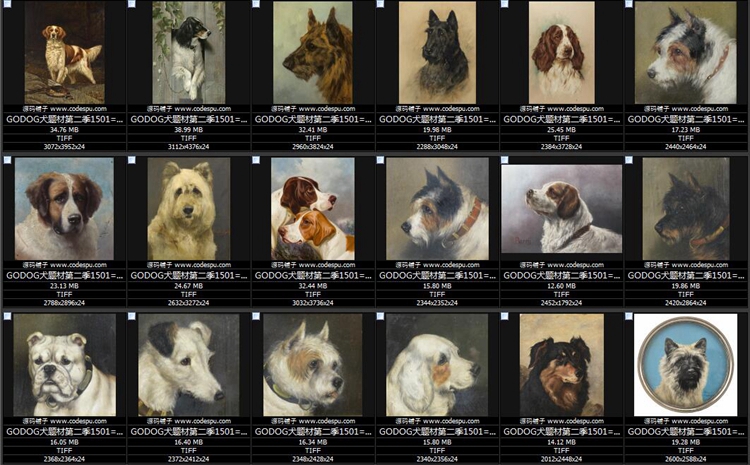  GODOGȮ}ͮ DƬbо OӋ̌WRġزĈD