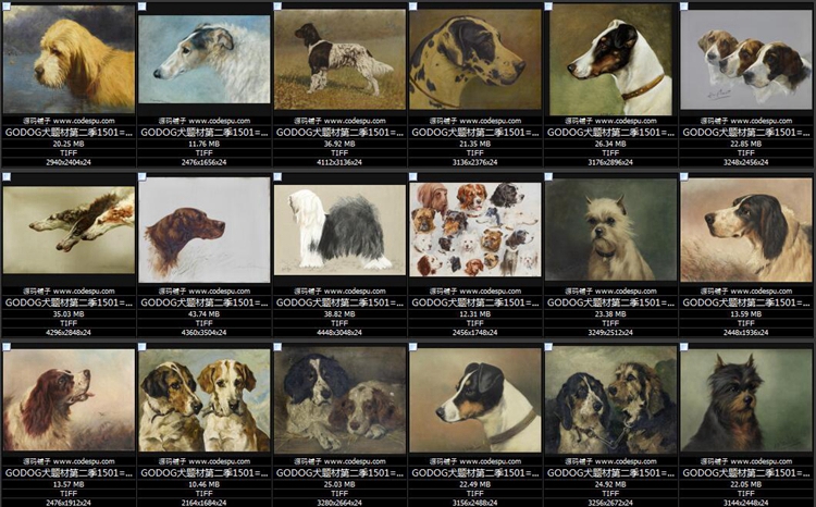 GODOGȮ}ͮ DƬbо OӋ̌WRġزĈD