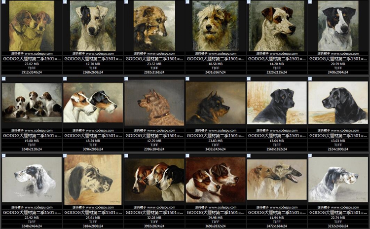  GODOGȮ}ͮ DƬbо OӋ̌WRġزĈD