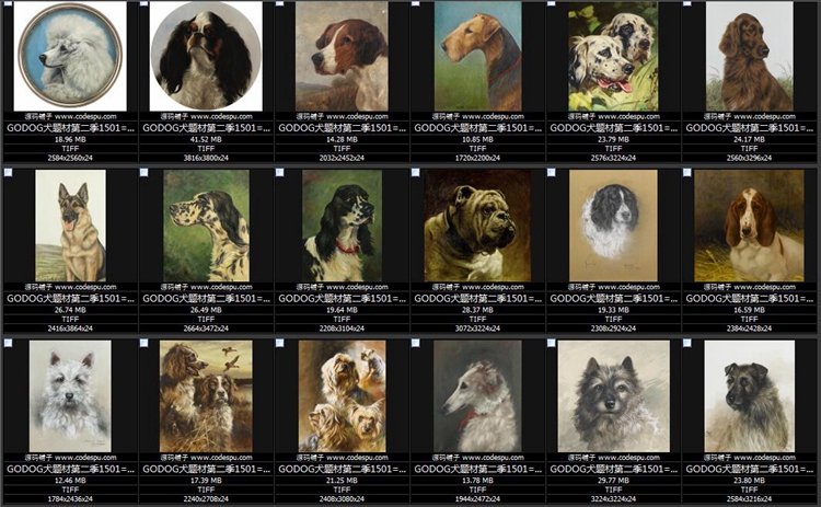  GODOGȮ}ͮ DƬbо OӋ̌WRġزĈD