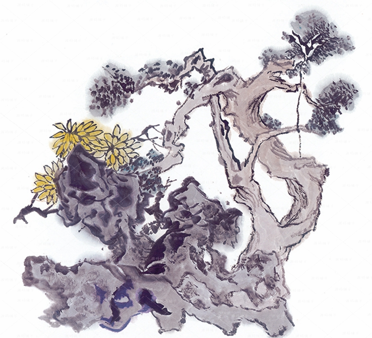 Ř䮋ϵƷ DƬز PbD