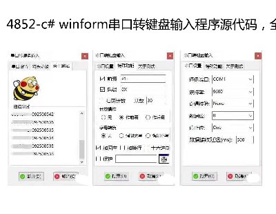4852-c# winformD(zhun)IPݔԴaȫаl(f)