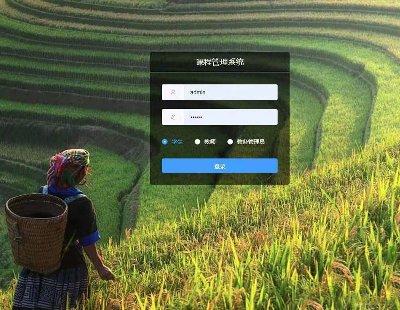 5134-Spring Boot+Vue2WϢϵyԴa Դa