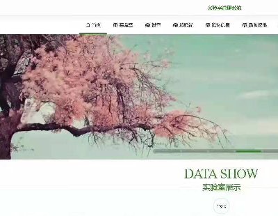 5325-springboot Čҹϵy(tng)ǰ_+_