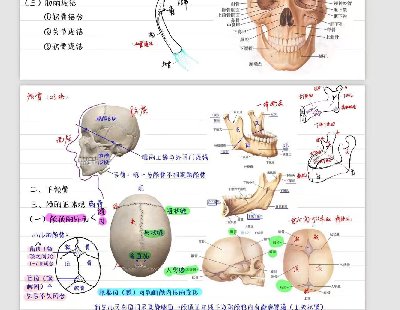 7562-ϵyʌWPӛ桾154퓡