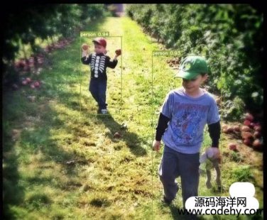 7816-YOLO˔8900ф עһeperson