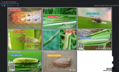 7862-IP102rﲡxYOLOʽѴØ˺141200DƬ