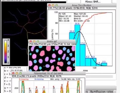  8574-imagej FijiDƬ̎ ImageJһ java, National Institutes of Health(NIH)_l(f)һ