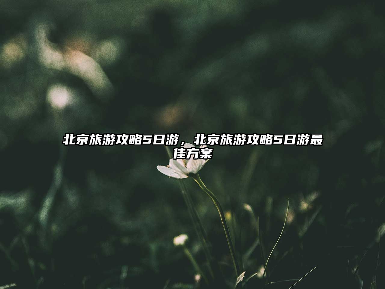 北京旅游攻略5日游，北京旅游攻略5日游最佳方案