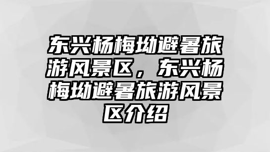 東興楊梅坳避暑旅游風景區，東興楊梅坳避暑旅游風景區介紹